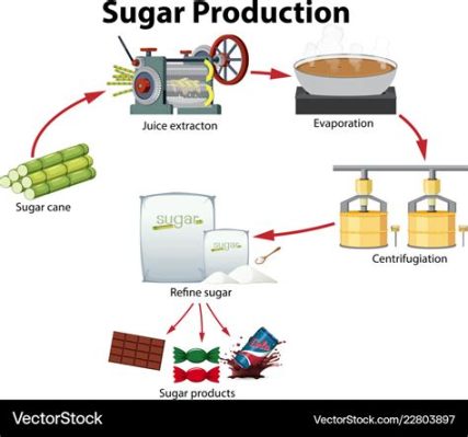  Ksylitol - Słodki Zastępnik Cukru w Przemysłowych Procesach Produkcyjnych!