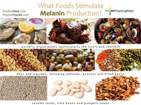  Melanina w Przemyśle Spożywczym: Właściwości i Zastosowania Naturalnego Barwnika!